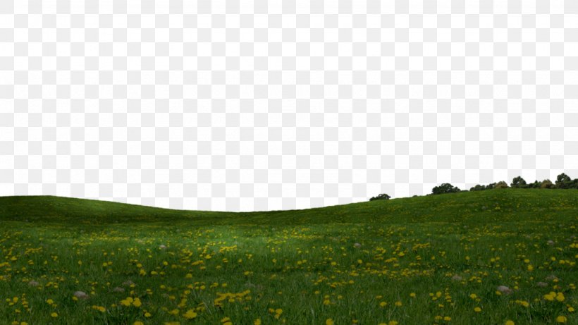 Steppe Grassland Vegetation Plain Lawn, PNG, 1024x576px, Steppe, Crop