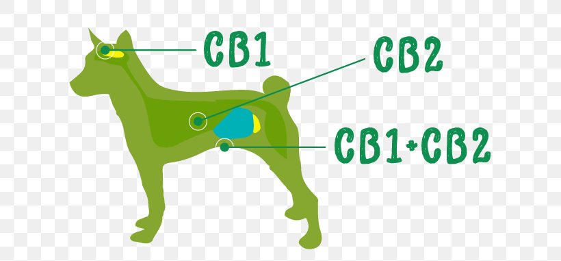 Cat German Shepherd Pet Dog Biscuit Cannabidiol, PNG, 660x381px, Cat, Area, Brand, Breed, Cannabidiol Download Free
