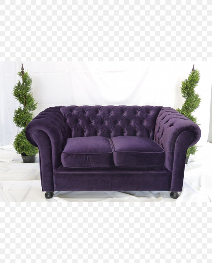 Couch Furniture Sofa Bed Chair Velvet, PNG, 1024x1269px, Couch, Chair, Chaise Longue, Cushion, Dfs Furniture Download Free