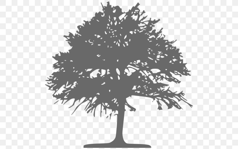 Tree Quercus Grisea La Vista Ecological Learning Center Clip Art, PNG, 512x512px, Tree, Black And White, Branch, Flowering Plant, Green Download Free