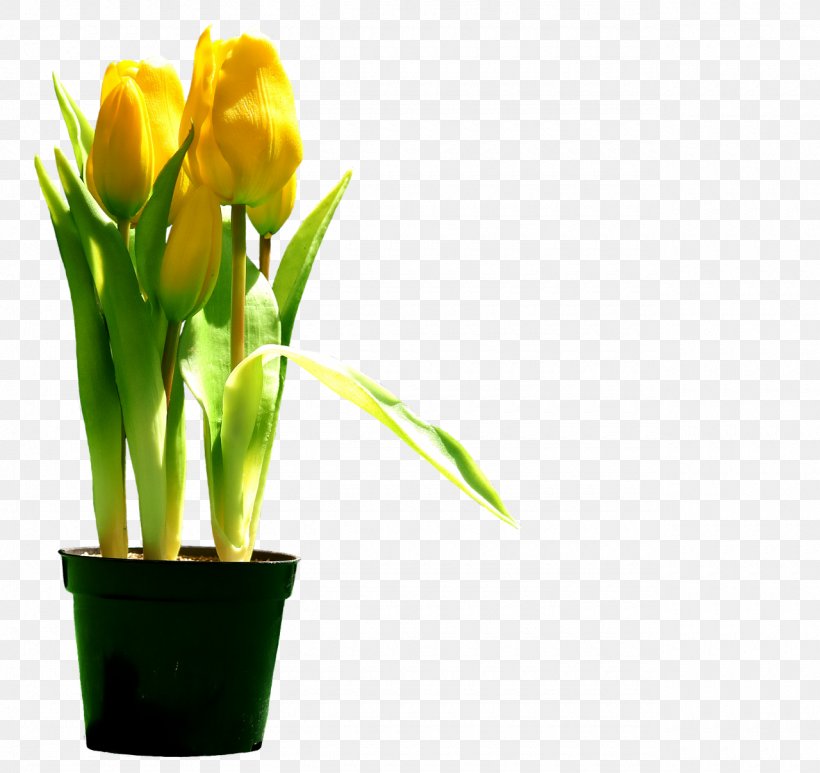 Tulip Cut Flowers Floral Design Plant Stem, PNG, 1280x1208px, Tulip, Bud, Cut Flowers, Floral Design, Floristry Download Free