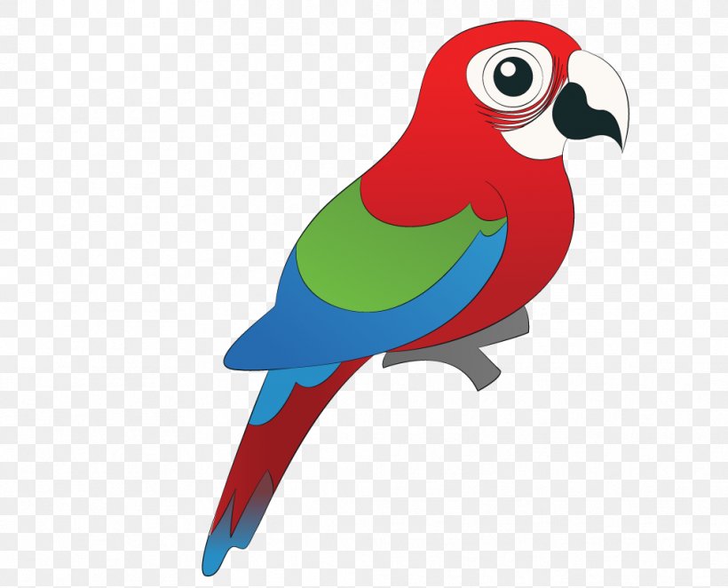 Bird Macaw Parrots Clip Art, PNG, 1014x819px, Bird, Advertising, Animation, Beak, Cartoon Download Free