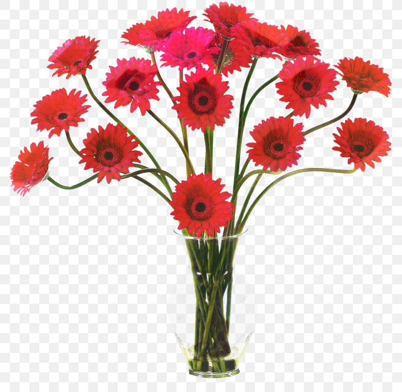 Floral Flower Background, PNG, 800x800px, Transvaal Daisy, Artificial Flower, Barberton Daisy, Bouquet, Chrysanthemum Download Free