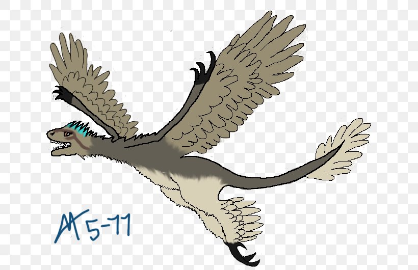 Hawk Owl Cartoon Fauna Eagle, PNG, 697x530px, Hawk, Animated Cartoon, Beak, Bird, Bird Of Prey Download Free