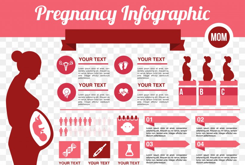 Infographic Pregnancy Childbirth, PNG, 2917x1974px, Infographic, Advertising, Brand, Childbirth, Communication Download Free