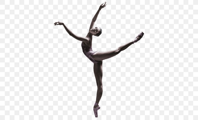 Performing Arts Dance The Arts, PNG, 500x500px, Performing Arts, Arts, Ballet Dancer, Dance, Dancer Download Free