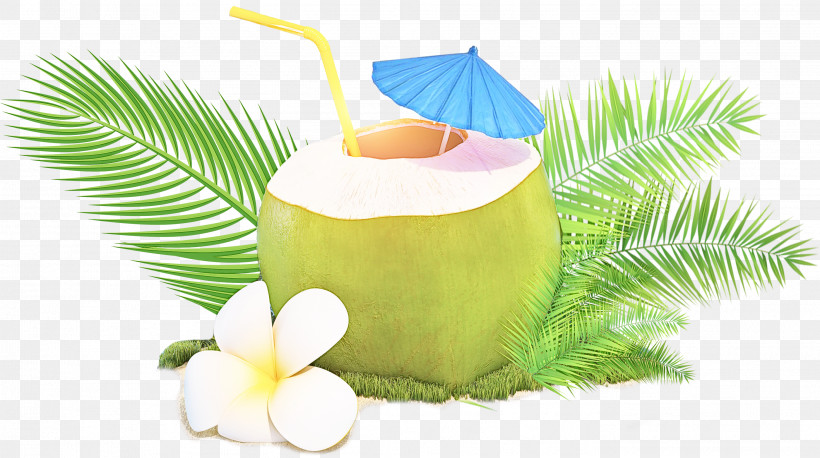 Water Balloon, PNG, 2801x1565px, Coconut Water, Cartoon, Coconut, Fruit, Icon Beverages Cigars Download Free