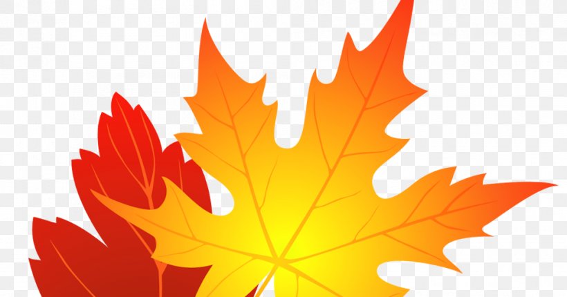Autumn Leaf Color Clip Art, PNG, 994x522px, Autumn Leaf Color, Autumn, Leaf, Maple, Maple Leaf Download Free
