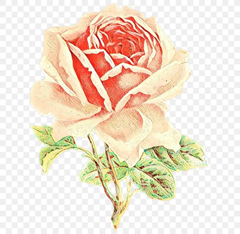 Flower Art Watercolor, PNG, 638x800px, Garden Roses, Cabbage Rose, China Rose, Cut Flowers, Drawing Download Free
