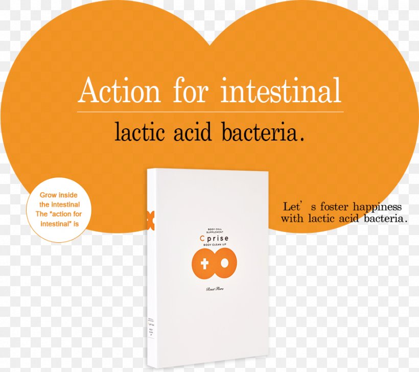 Lactobacillales 乳酸菌 Dietary Supplement Lactic Acid Bacteria, PNG, 930x826px, Lactobacillales, Bacteria, Brand, Dairy Products, Dietary Supplement Download Free