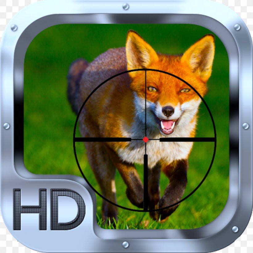 Red Fox Dog Animal Desktop Wallpaper, PNG, 1024x1024px, Red Fox, Animal, Biology, Dog, Dog Like Mammal Download Free