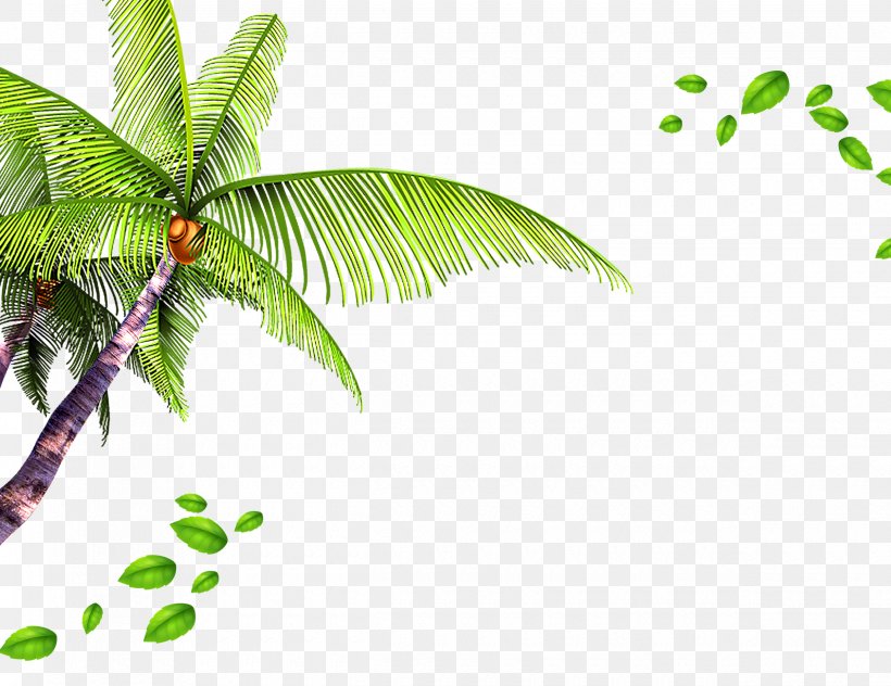 Template Beach, PNG, 2480x1913px, Template, Advertising, Beach, Branch, Cdr Download Free