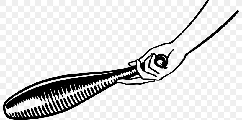 Club Baton Weapon Clip Art, PNG, 800x406px, Club, Baton, Black And White, Clothing Accessories, Fashion Download Free