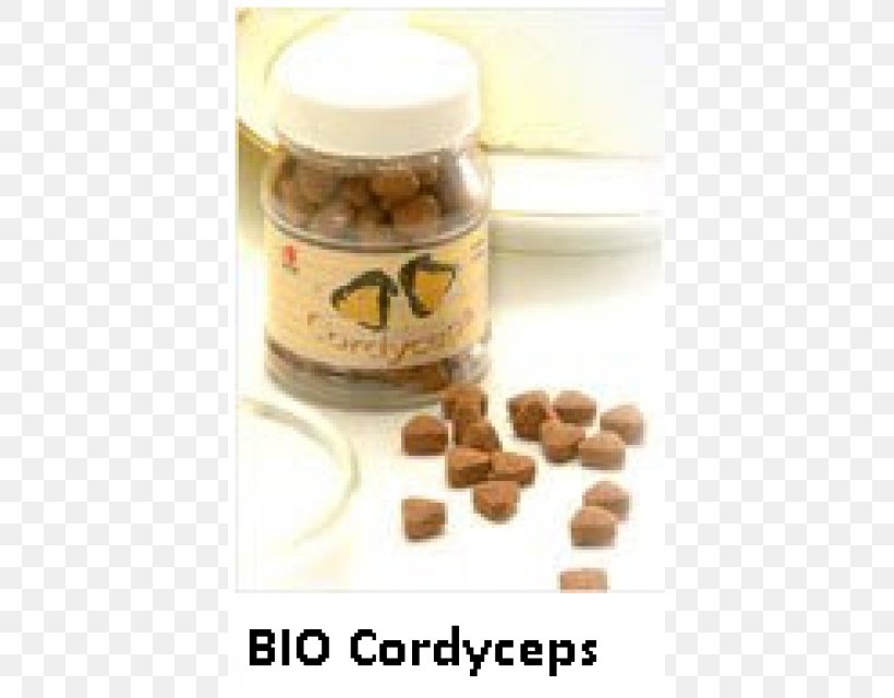 Cordyceps Health Therapy Spirulina Medicine, PNG, 640x640px, Cordyceps, Caterpillar Fungus, Cure, Dengue, Food Download Free