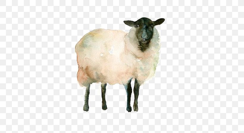 Icelandic Sheep Watercolor Painting Drawing Goat Sketch, PNG, 564x447px, Icelandic Sheep, Black Sheep, Cow Goat Family, Drawing, Goat Download Free