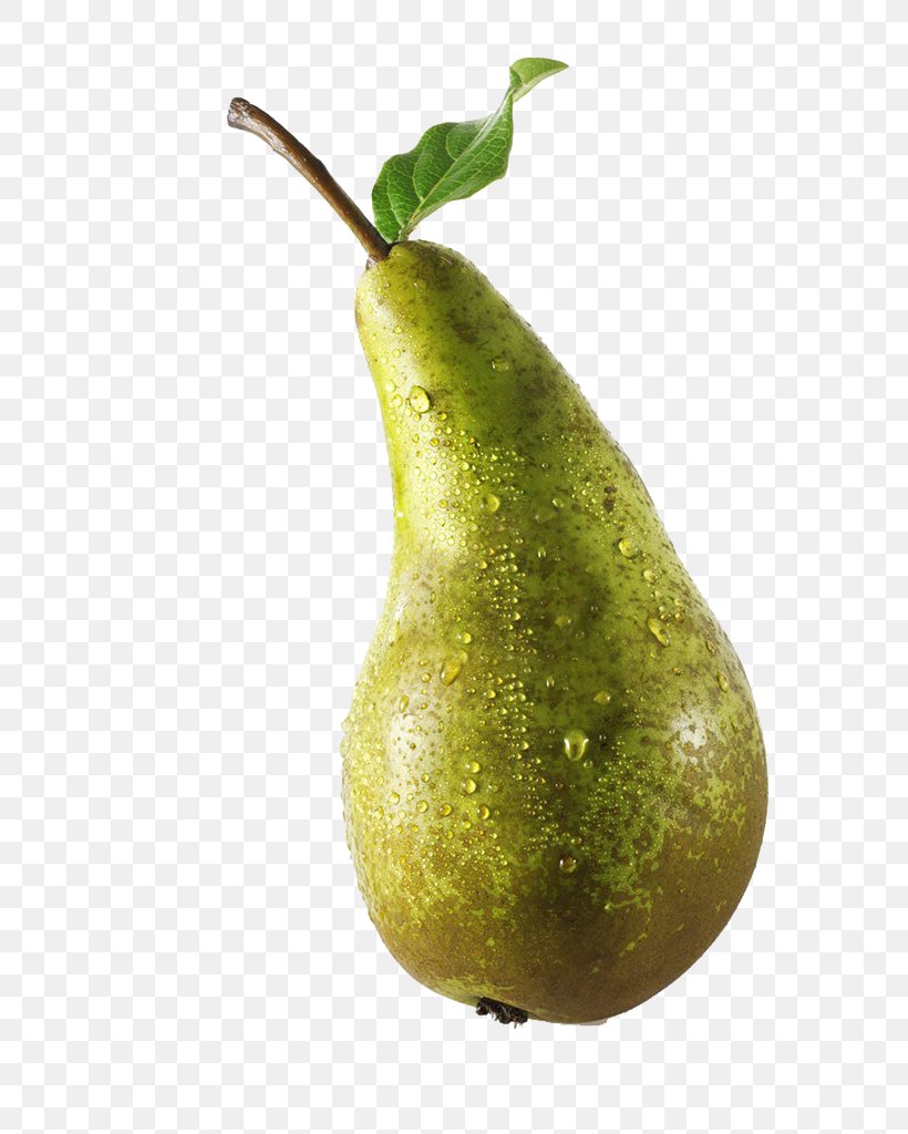 Conference Pear Fruit Photography, PNG, 768x1024px, Conference Pear, European Pear, Food, Food Photography, Fruit Download Free