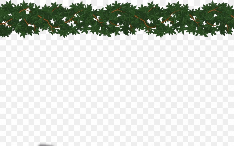 Fir Spruce Christmas Tree Evergreen, PNG, 1895x1189px, Fir, Branch, Christmas, Christmas Decoration, Christmas Tree Download Free