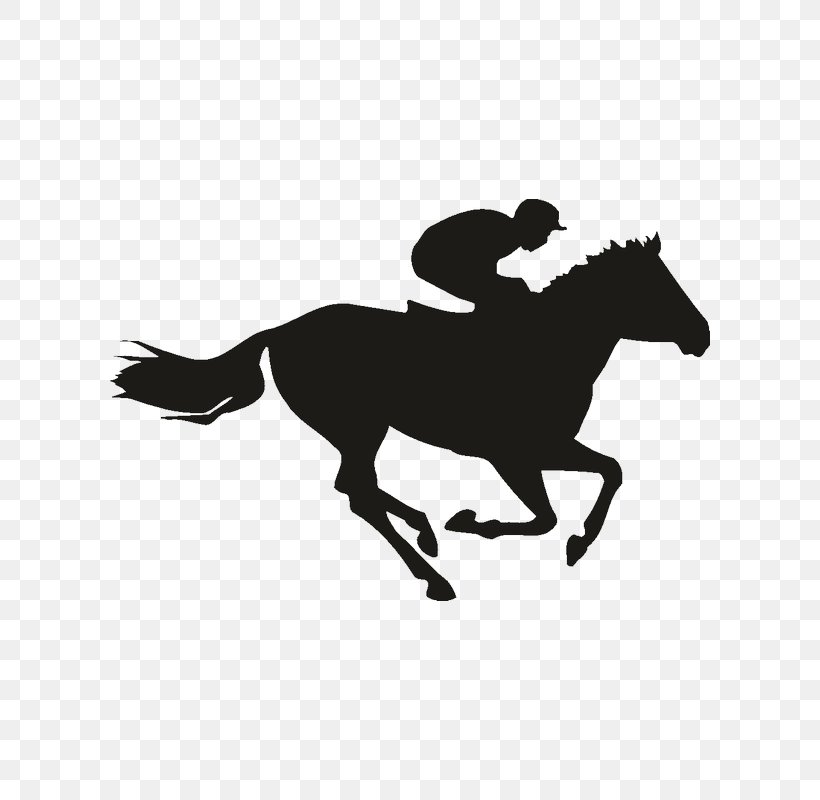 Horse Racing Equestrian The Kentucky Derby, PNG, 800x800px, Horse, Black And White, Bridle, Cowboy, Decal Download Free