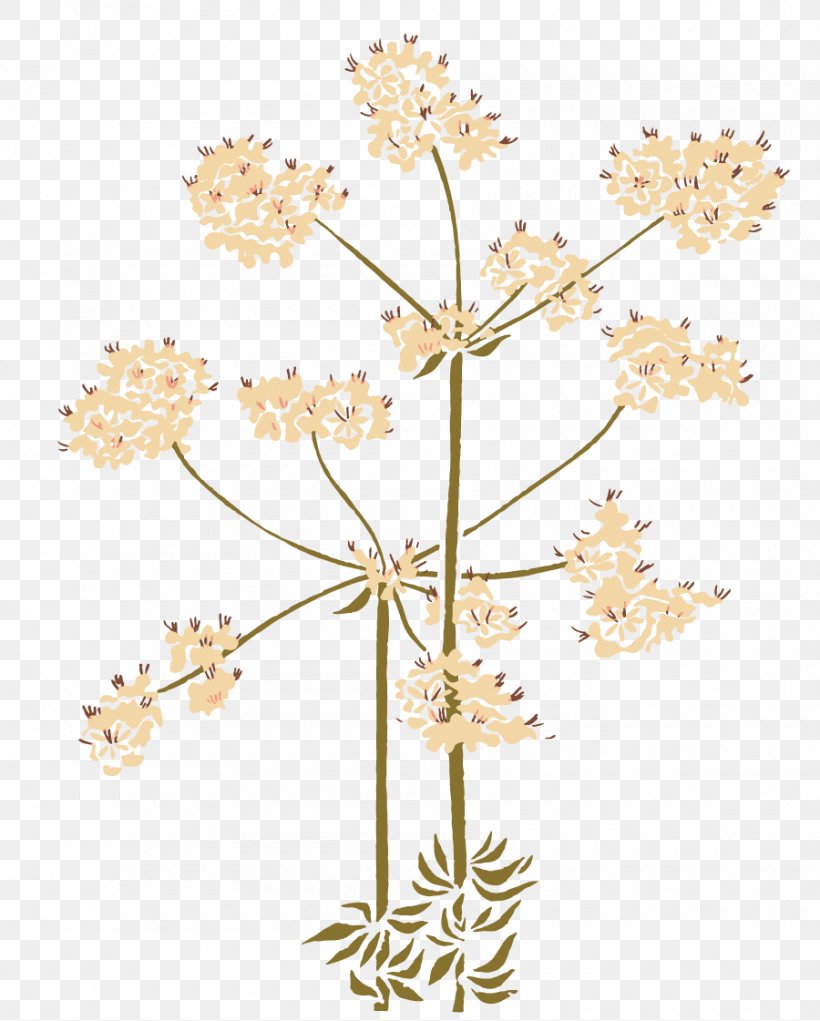 Native Plant 11th Annual Indian Film Festival Of Los Angeles Flower Garden, PNG, 900x1121px, Plant, Beardtongue, Branch, California Lilac, Cow Parsley Download Free