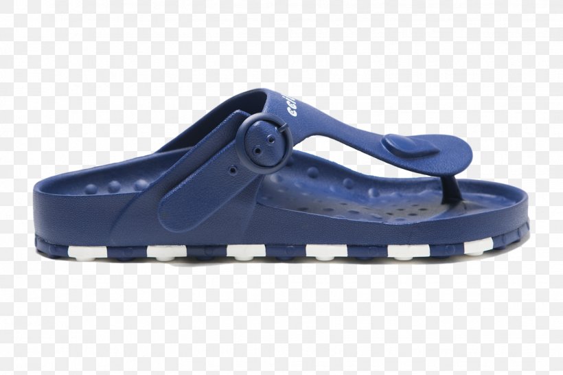 Sandal Shoe Consumer, PNG, 1545x1030px, Sandal, Amazoncom, Aurora, Blue, Brand Download Free