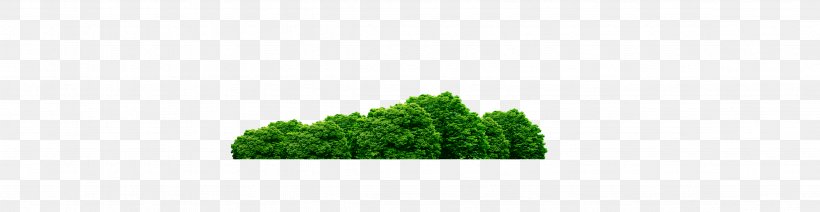 Logo Brand Green Tree Font, PNG, 4724x1226px, Logo, Brand, Grass, Green, Plant Download Free