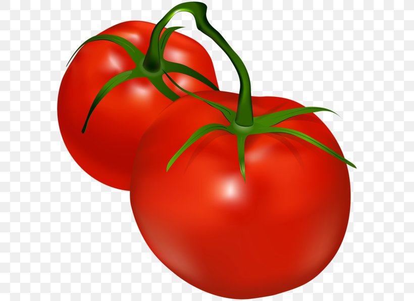 Shalgam Vegetable Cherry Tomato Clip Art, PNG, 600x596px, Shalgam, Apple, Bell Pepper, Bush Tomato, Cherry Tomato Download Free