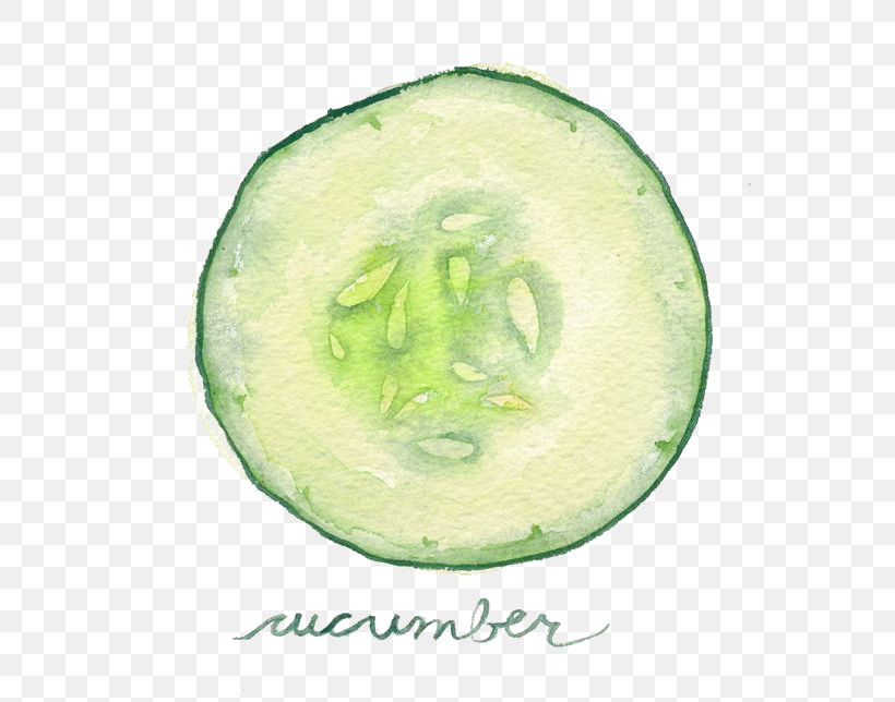 Watercolor Painting Vegetable Slicing Cucumber Illustration, PNG, 564x644px, Watercolor Painting, Cartoon, Cucumber, Cucumber Gourd And Melon Family, Cucumis Download Free