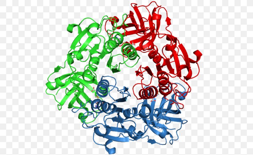 Fluorinase Enzyme Commission Number S-Adenosyl Methionine Catalysis Fluoride, PNG, 603x502px, Enzyme Commission Number, Area, Biosynthesis, Catalysis, Cofactor Download Free