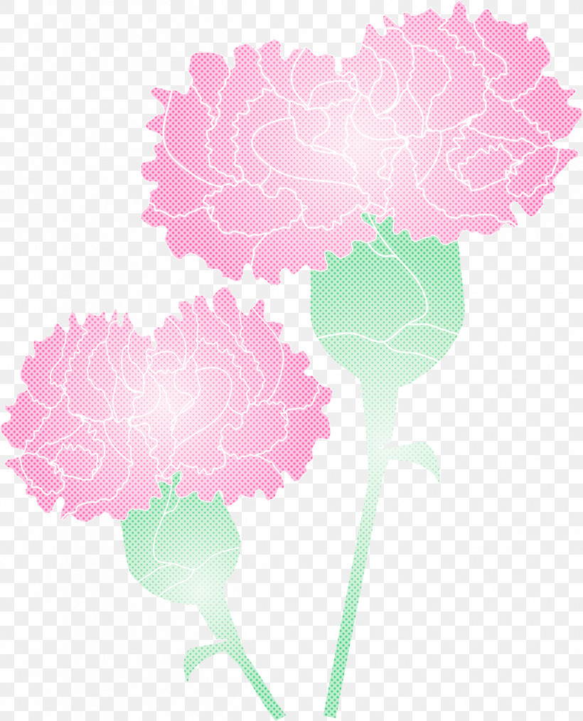 Mothers Day Carnation Mothers Day Flower, PNG, 2424x3000px, Mothers Day Carnation, Carnation, Dianthus, Flower, Hydrangea Download Free