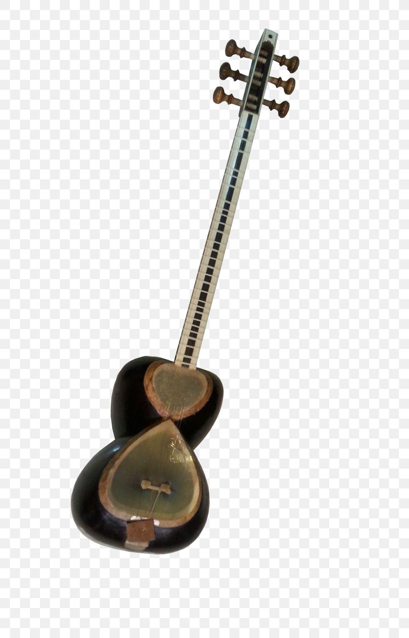 Tar Zhivar, Kurdistan Plucked String Instrument String Instruments Musical Instruments, PNG, 720x1280px, Watercolor, Cartoon, Flower, Frame, Heart Download Free