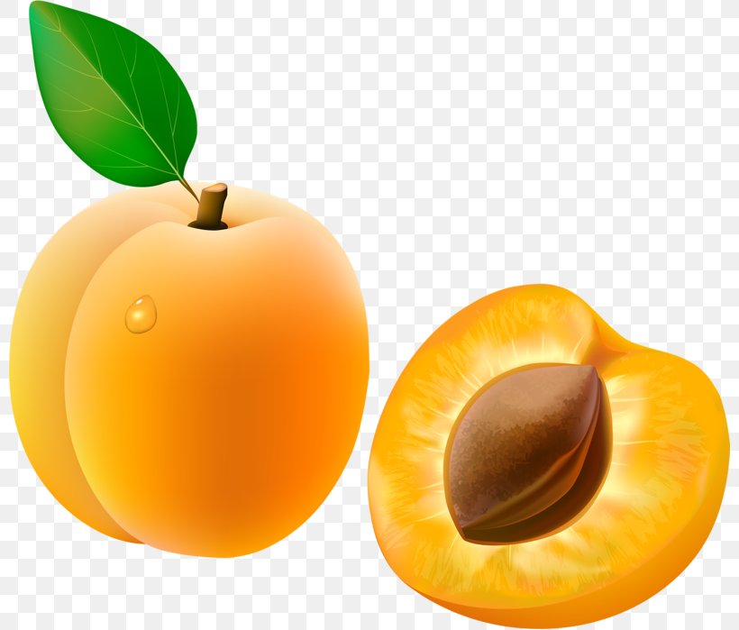 Apricot Fruit Clip Art, PNG, 800x699px, Apricot, Apple, Auglis, Diet Food, Food Download Free