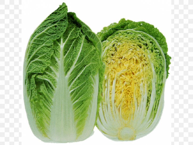 Chinese Cabbage Chinese Cuisine Napa Cabbage Vegetable, PNG, 1067x800px, Chinese Cabbage, Bok Choy, Brassica, Brassica Rapa, Cabbage Download Free