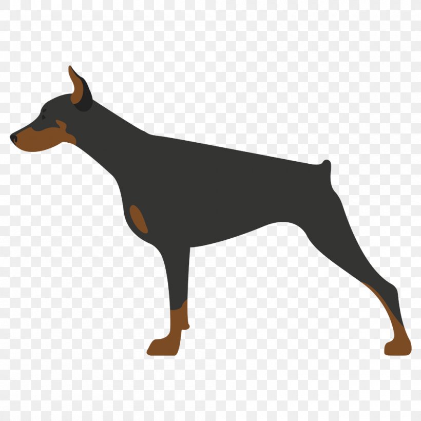 Dobermann German Pinscher Miniature Pinscher Manchester Terrier Dog Breed, PNG, 1000x1000px, Dobermann, Breed, Carnivoran, Dog, Dog Breed Download Free