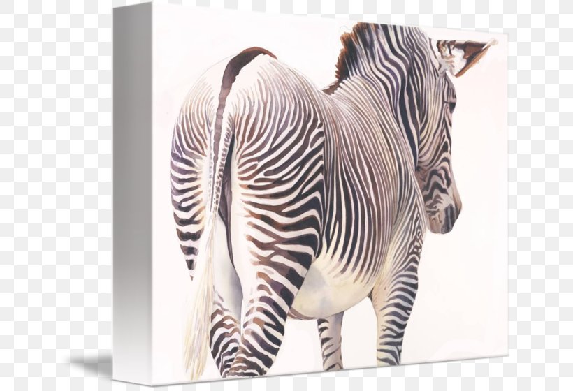 Quagga Neck Terrestrial Animal Wildlife, PNG, 650x560px, Quagga, Animal, Fauna, Horse Like Mammal, Mammal Download Free