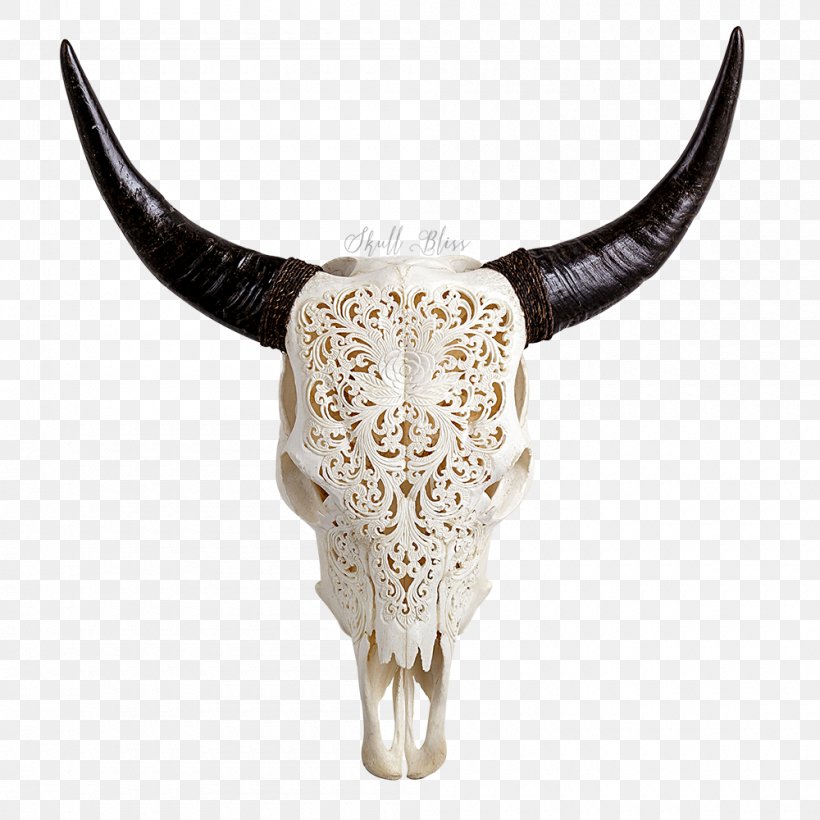 Texas Longhorn Animal Skulls English Longhorn, PNG, 1000x1000px, Texas Longhorn, Animal, Animal Skulls, Bone, Bull Download Free