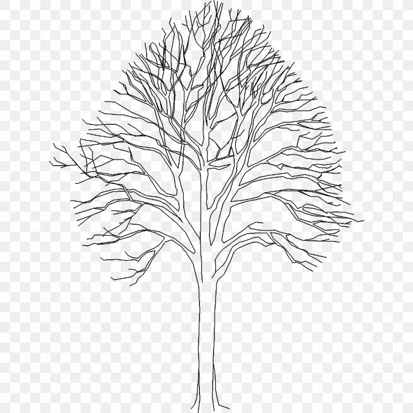 Twig Plant Stem Leaf Line Flowering Plant, PNG, 1000x1000px, Twig, Black And White, Branch, Drawing, Flora Download Free