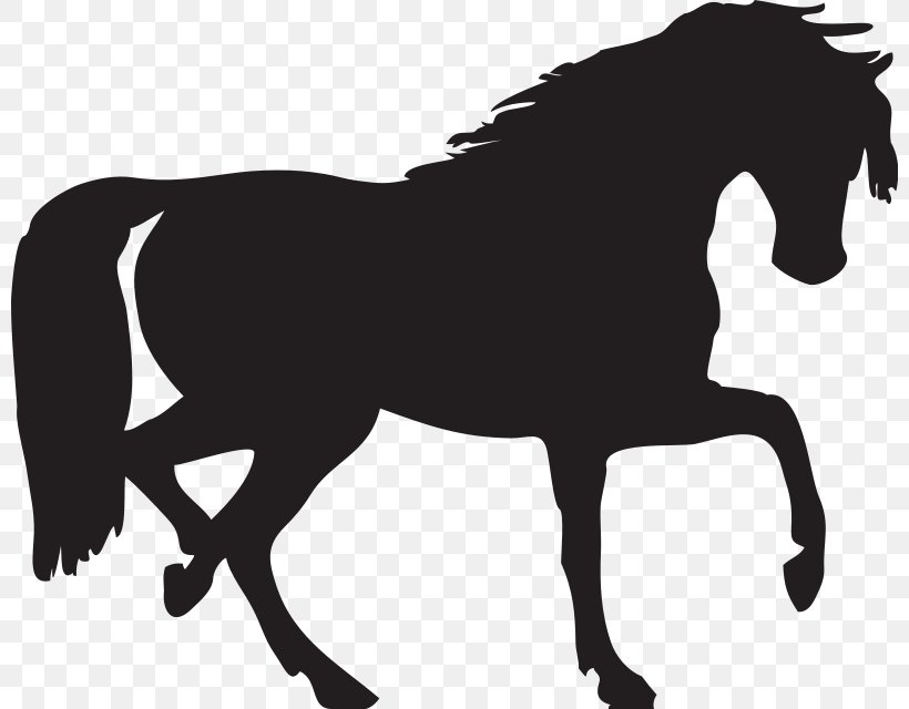 Arabian Horse Mustang Silhouette Clip Art, PNG, 800x640px, Arabian Horse, Black, Black And White, Bridle, Colt Download Free