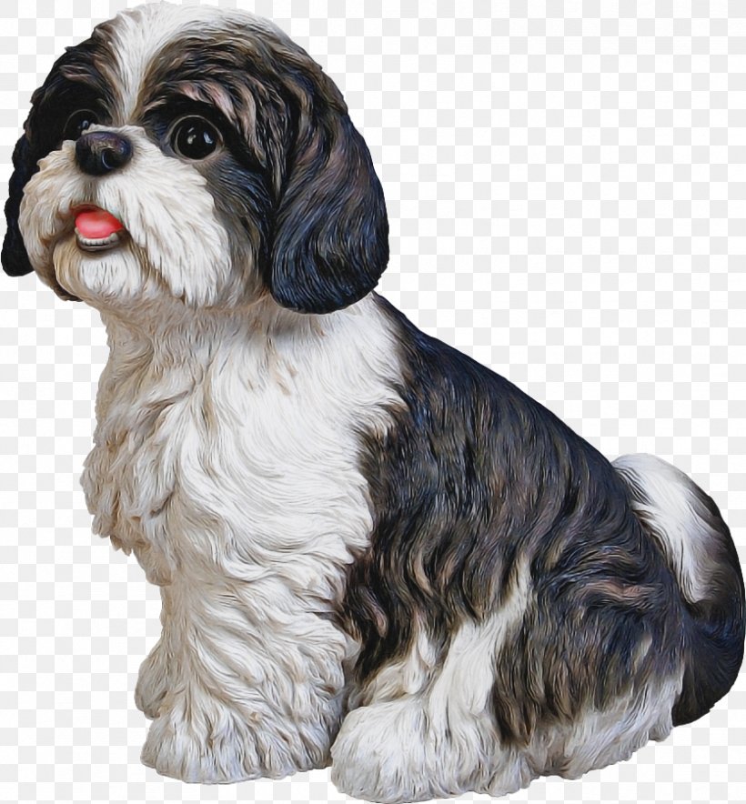 Dog Dog Breed Shih Tzu Kyi-leo Lhasa Apso, PNG, 834x900px, Dog, Dog Breed, Kyileo, Lhasa Apso, Shih Tzu Download Free