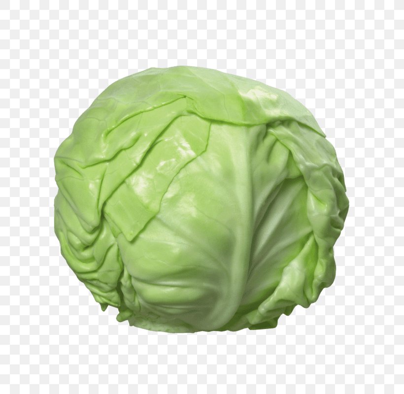 Napa Cabbage Cauliflower Vegetable, PNG, 800x800px, Cabbage, Broccoli, Brussels Sprouts, Cabbages, Cauliflower Download Free