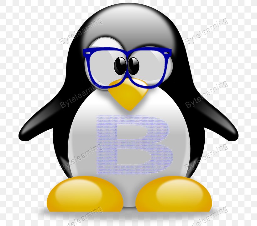 Penguin T-shirt Tuxedo Clip Art, PNG, 702x720px, Penguin, Beak, Bird, Bow Tie, Clothing Accessories Download Free