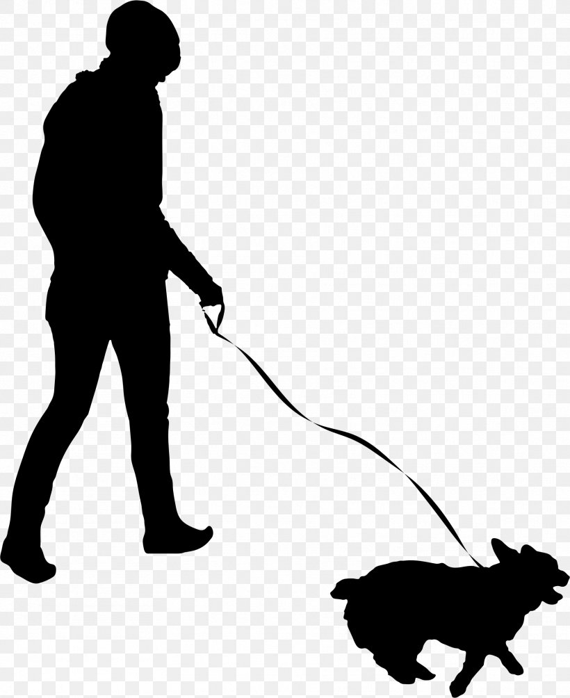 Pet Sitting Dog Walking Flyer, PNG, 1818x2226px, Pet Sitting, Animal Rescue Group, Black, Black And White, Carnivoran Download Free