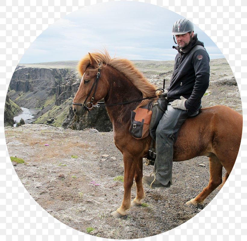 Reykjafjall Mid-Atlantic Ridge Golden Circle Highlands Of Iceland Landmannalaugar, PNG, 800x800px, Midatlantic Ridge, Bridle, Geysir, Golden Circle, Highlands Of Iceland Download Free