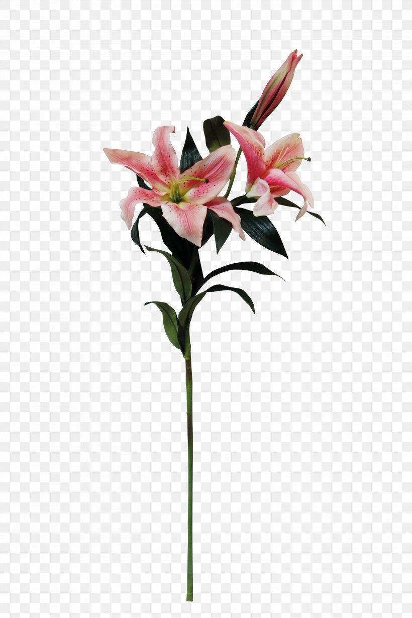 Floral Design Lilium Flower, PNG, 3000x4500px, Floral Design, Artificial Flower, Bud, Cut Flowers, Data Download Free