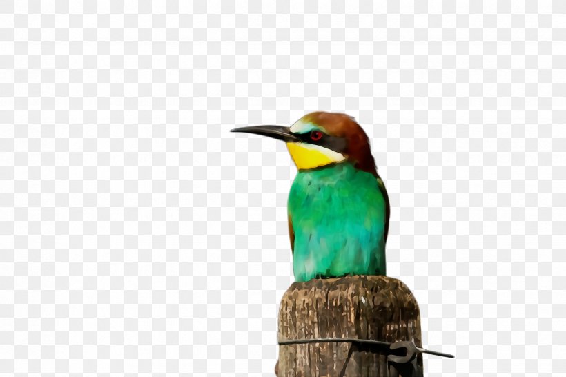 Hummingbird, PNG, 2448x1632px, Watercolor, Beak, Bee Eater, Bird, Coraciiformes Download Free