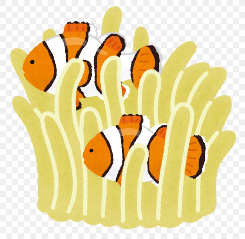 青の洞窟 Ocellaris Clownfish 待機児童 Chūō Jardin D'enfants, PNG, 800x800px, Ocellaris Clownfish, Child, Child Care, Cuisine, Finger Download Free