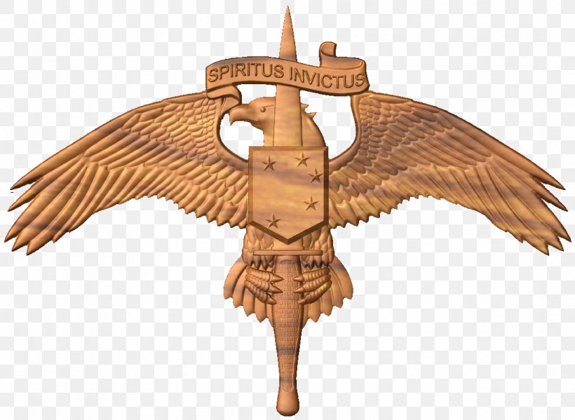 United States Marine Corps Forces Special Operations Command Special Forces Marines United States Special Operations Command, PNG, 1091x798px, United States Marine Corps, Beak, Bird, Bird Of Prey, Command Download Free