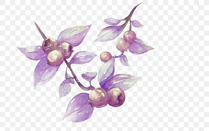 Watercolor Painting Blueberry Illustration, PNG, 740x515px, Watercolor Painting, Blueberry, Creative Work, Flora, Floral Design Download Free