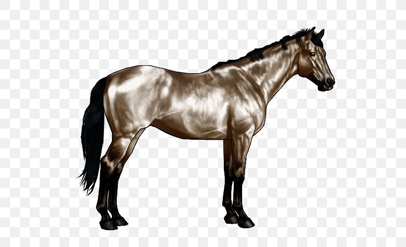 American Paint Horse American Quarter Horse Roan Equine Coat Color Pinto Horse, PNG, 600x500px, American Paint Horse, American Quarter Horse, Black, Bridle, Brindle Download Free