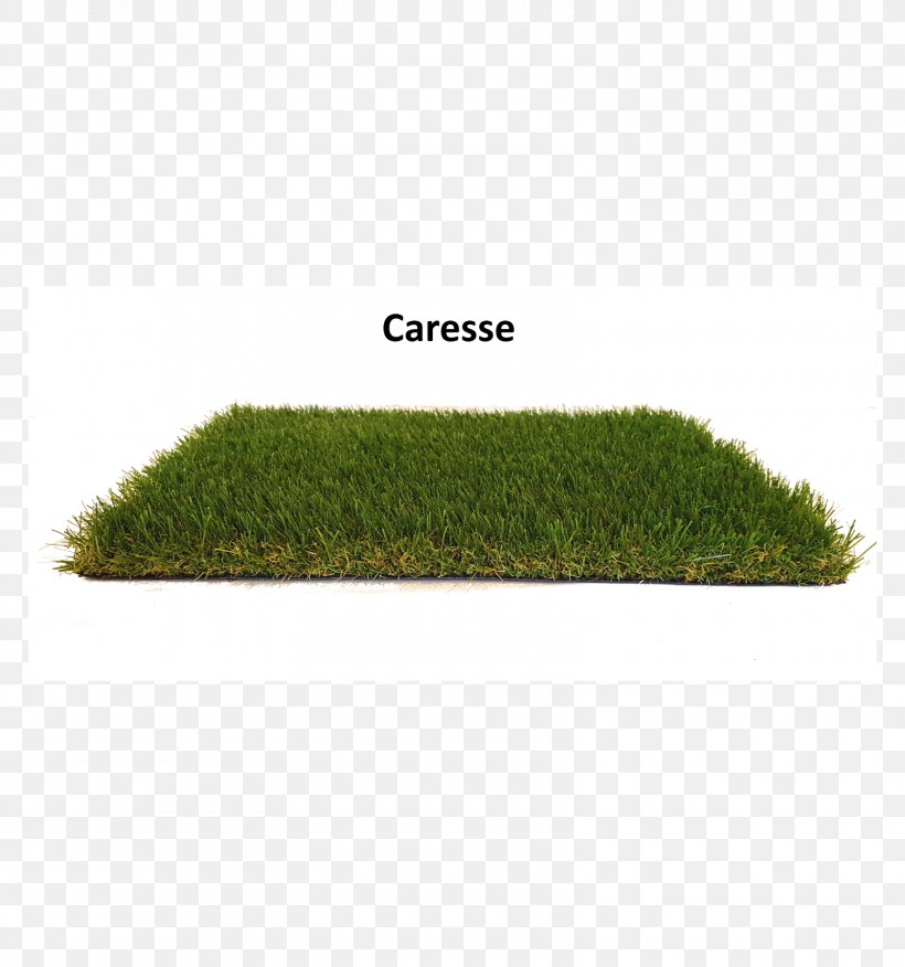Caresse En 4m De Large Grasses AGCO, PNG, 1600x1710px, Grasses, Agco, Grass, Grass Family, Plant Download Free