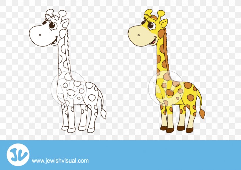 Giraffe Clip Art, PNG, 842x595px, Giraffe, Animal, Animal Figure, Cartoon, Directory Download Free